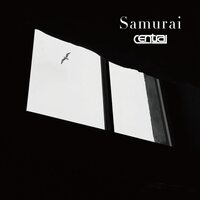Central - Samurai vinyl cover