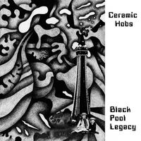 Ceramic Hobs - Black Pool Legacy vinyl cover