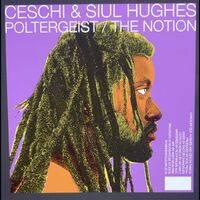 Ceschi  & Siul Hughes - Poltergeist / The Notion vinyl cover