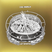Chad Vangaalen - Light Information Includes Download vinyl cover