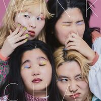 Chai - Wink vinyl cover