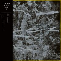 Chaos Echoes - Ecstasy With The Nonexistents vinyl cover
