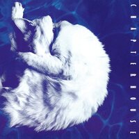 Chapterhouse - Whirlpool (White Marble) vinyl cover