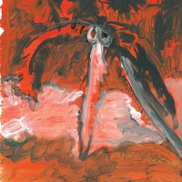 Charbel Haber - Of Palm Trees And Decomposition vinyl cover