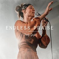 Charity Gayle - Endless Praise vinyl cover