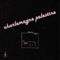 Charlemagne Palestine - Strumming Music vinyl cover