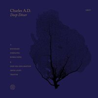Charles AD - Deep Diver vinyl cover