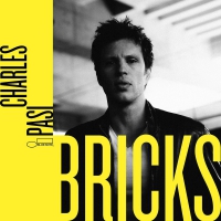 Charles Pasi - Bricks vinyl cover