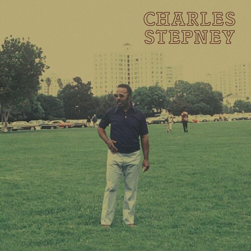 Charles Stepney - Step On Step vinyl cover