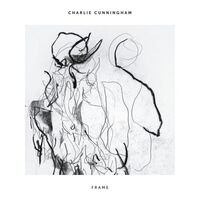 Charlie Cunningham - Frame
