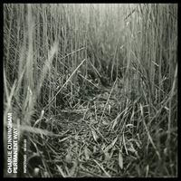 Charlie Cunningham - Permanent Way vinyl cover