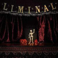 Chase Petra - Liminal vinyl cover