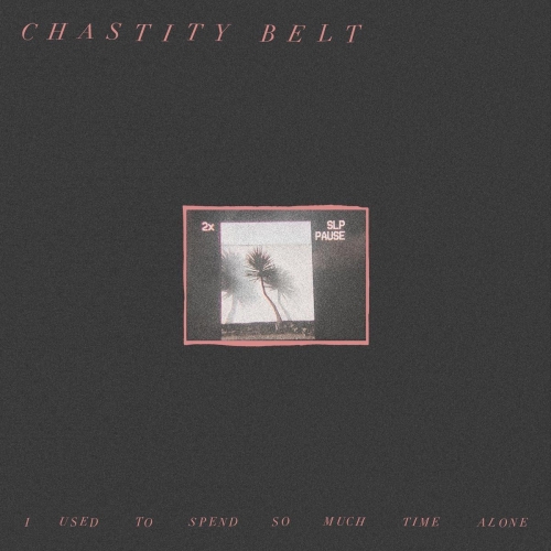 Chastity Belt - I Used To Spend So Much Time Alone vinyl cover