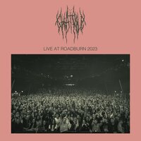 Chat Pile - Live At Roadburn 2023 vinyl cover
