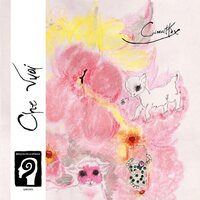 Che Vuoi - Cinecittax vinyl cover