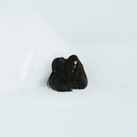 Chelsea Wolfe - Hiss Spun (Cloudy Red & Clear) vinyl cover