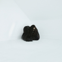 Chelsea Wolfe - Hiss Spun vinyl cover