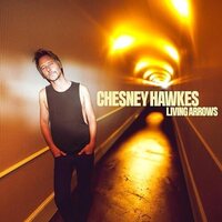 Chesney Hawkes - Living Arrows vinyl cover