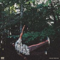 Chester Watson - Fish Don't Climb Trees vinyl cover
