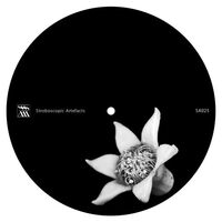 Chevel - Blurse Remixed vinyl cover