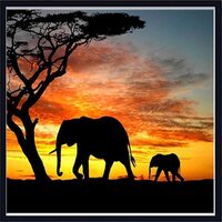 Chiaki Sato - Butterfly Effect vinyl cover