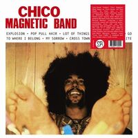 Chico Magnetic Band - Chico Magnetic Band vinyl cover
