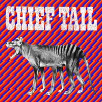 Chief Tail - Chief Tail vinyl cover