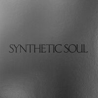 Chiiild - Synthetic Soul vinyl cover