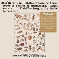 Chitinous Ensemble - Chitinous vinyl cover