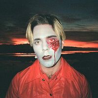 Choir Boy - Gathering Swans vinyl cover