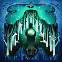 Chris Conde - Engulfed In The Marvelous Decay vinyl cover