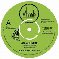 Chris Del Camino - As You Are / Butterfly Monarch vinyl cover