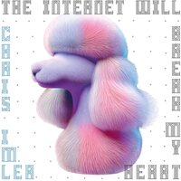 Chris Imler - The Internet Will Break My Heart vinyl cover