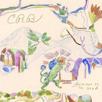 Chris Robinson Brotherhood - Barefoot In The Head vinyl cover
