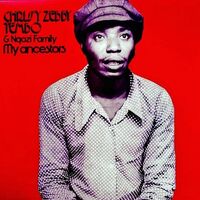 Chrissy Zebby Tembo - My Ancestors vinyl cover