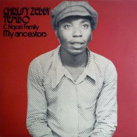 Chrissy Zebby Tembo  &  Ngozi Family - My Ancestors vinyl cover
