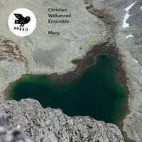 Christian Wallumrod - Many vinyl cover