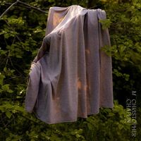 Christopher Chaplin - M vinyl cover