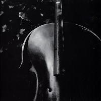 Christopher / Lukoszevieze,anton Fox - Re: Play vinyl cover