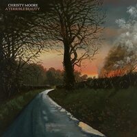 Christy Moore - Terrible Beauty vinyl cover