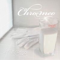 Chromeo - Shes In Control vinyl cover