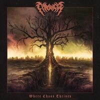 Chronicle - Where Chaos Thrives vinyl cover