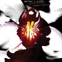 Chrystabell & David Lynch - Cellophane Memories vinyl cover