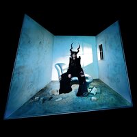 Circuit des Yeux - Halo On The Inside vinyl cover