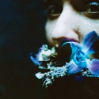 Circuit Des Yeux - Reaching For Indigo vinyl cover
