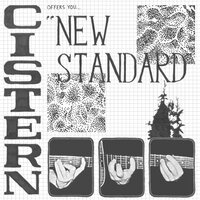 Cistern - New Standard vinyl cover