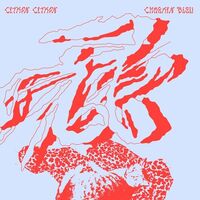 Citron Citron - Chagrin Bleu vinyl cover