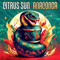 Citrus Sun - Anaconga vinyl cover