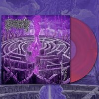 Civerous - Maze Envy (Purple & Magenta Merge) vinyl cover