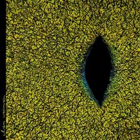 Clan Caiman - Clan Caiman vinyl cover